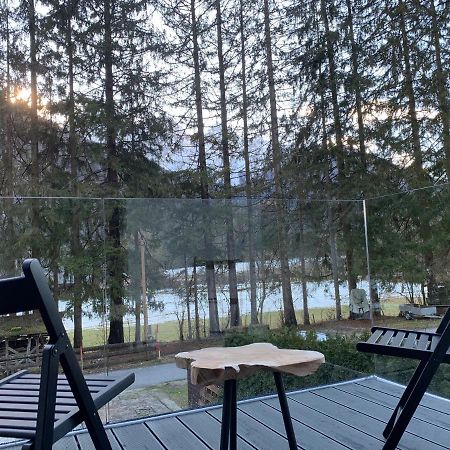 Pine Tree Holiday House ゴズ・マルチュリェク エクステリア 写真